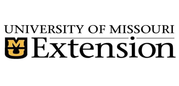 MU Extension Holding Online Neighborhood Leadership Conference