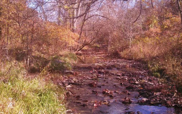 Crowder State Park hosts Fall Hike on Tall Oaks Trail Oct. 5