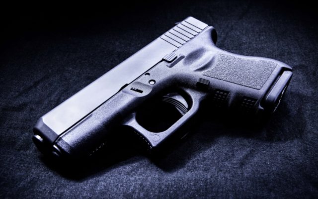 State Lawmaker Pushes for Minimum Age to Possess Firearms