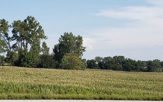 Missouri Farmers Are Bracing For Another Dry Summer