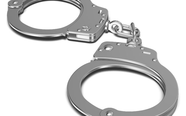Chicago Men Arrested in Grundy County