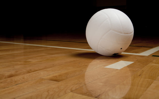 275 All Conference Volleyball Team Released
