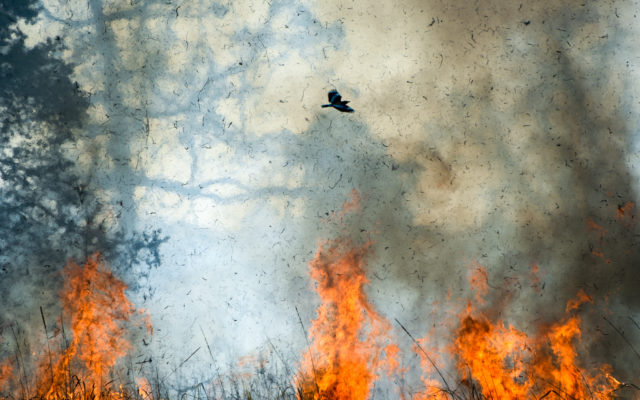 Risk of Field Fires During Harvest Remains Strong