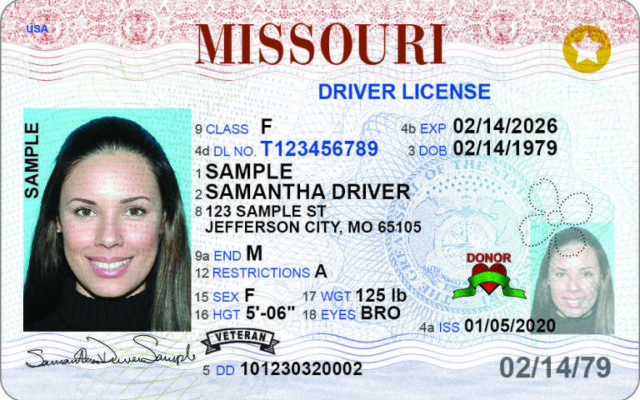Missouri Organization Prepping for Court Battle on Voter ID/Elections Bill