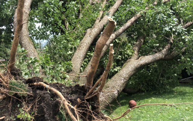 Rare Weather Phenomenon Cuts Destructive Path Across Iowa