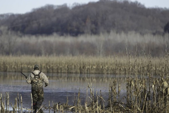 MDC Announces Procedural Levels For Waterfowl Managed Hunts