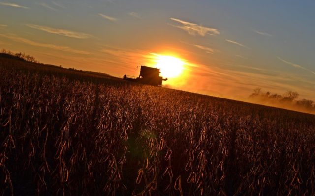 Missouri’s Harvests Stay Ahead Of Average Pace