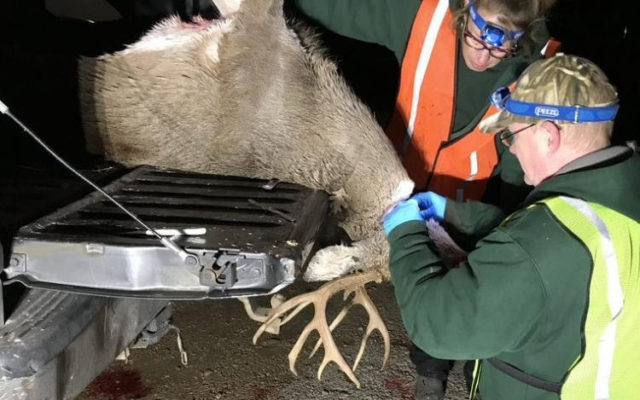 MDC Eliminates Mandatory CWD Sampling Requirement For This Year’s Fall Deer Harvest