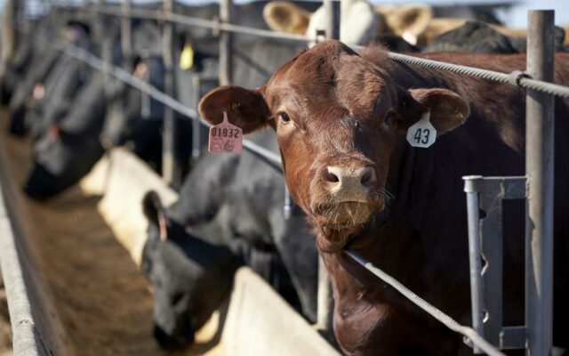Messing With Missouri Livestock Shipments Will Soon Cost You