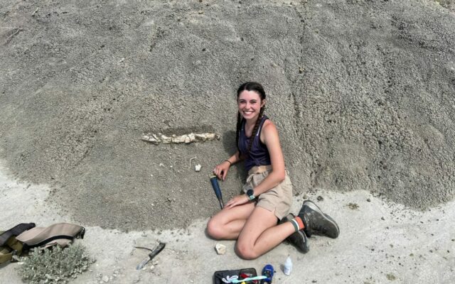 Missouri College Student Makes Discovery of a Lifetime – Part of a Dinosaur Fossil