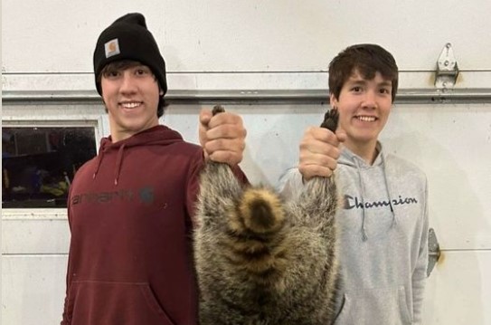 Record Raccoon Harvested in Worth County