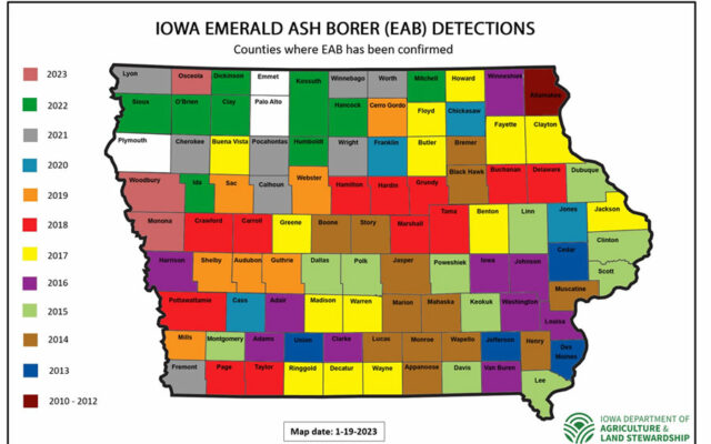 EAB Infestations Now Confirmed in 96 of 99 Iowa Counties