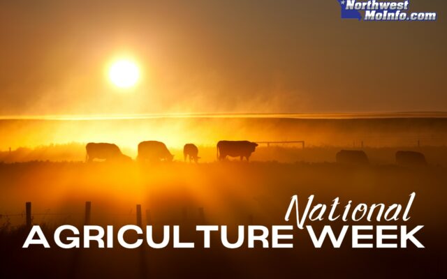 National Agriculture Week Business Spotlights