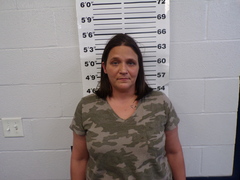 Arkansas Woman Arrested In Harrison County