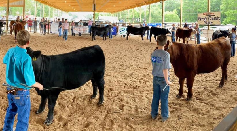 <h1 class="tribe-events-single-event-title">Mercer County Fair (Princeton)</h1>